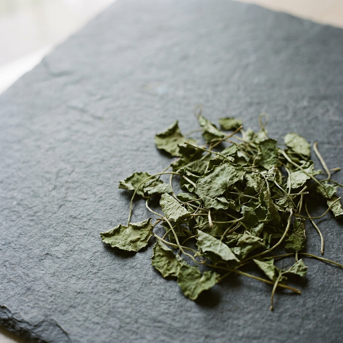 Dried centella asiatica leaves on dark slate